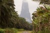 Origin: São Tomé and Príncipe. “The chocolate Island”.
The Bridge MAG. image