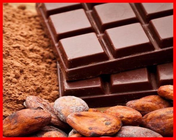 Les chercheurs en médecine pensent que le chocolat cru biologique, pressé à froid, est considéré comme l'aliment le plus sain disponible sur la planète : cet aliment joue  un rôle clé dans notre système immunitaire. The Bridge MAG. Image 