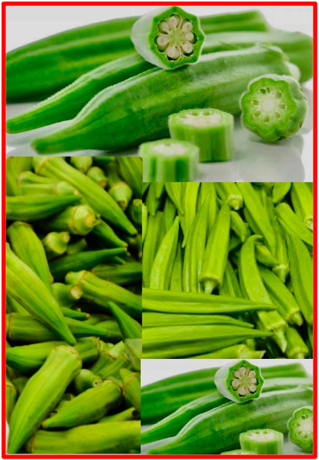 For families of an ethic minority: Did you know? It doesn’t make you or your children less human or less “civilised” if you include an ethnic recipe in your diet, especially if it has been proven healthy and or nutritious. Okra has an Impressive nutrient profile. Biologically classified as a fruit, okra is generally packed with vitamins and used as a vegetable in cooking. It originates from tropical, rain forest kind of Amazonian like countries. Used in Southern American cuisine and a popular addition to gumbo. Yet, it can have a slimy texture hence its digestive properties. The Bridge MAG. Image 