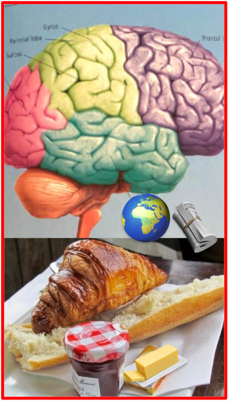 Si la société et les systèmes scolaires se concentrent souvent sur les capacités cognitives et analytiques, notre éditorial estime également que la base de tout apprentissage commence par une bonne alimentation physique et mentale des enfants.The Bridge MAG. Image 