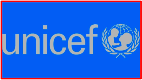 A recent UNICEF-World Bank analysis report on poverty send chills down the spine: “An estimated 333 million children globally are living in extreme poverty […]”. These statistics show that millions of children are facing hunger and are surviving on extremely poor diets, which significantly impacts their educational performance and engagement. Did you know? Food insecurity compromises pupils and students’ grades, making any career goal unattainable and unachievable The Bridge MAG. Image 