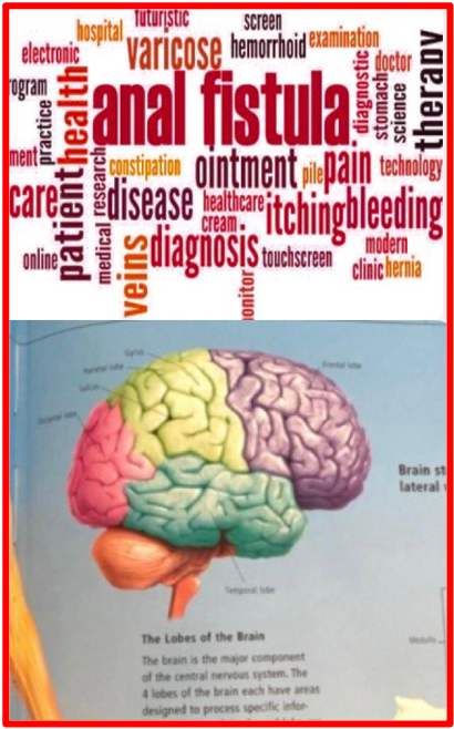 Using one’s brain (that extra attribute that sets us apart from animals) enables one to choose the right partner whilst ensuring your own sexual health and safety. Make love if you have the right sexual partner, but do not hesitate to refrain from sexual activities if it is not the right time or with the right person. The Bridge MAG. Image 